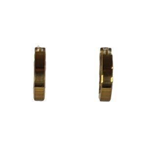 Small Thick Hoop Earrings Gold Plated Nickle Free New without Tags NWOT